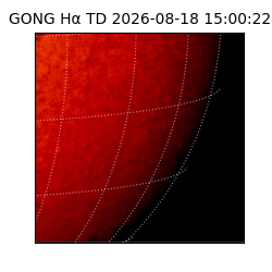 gong - 2026-08-18T15:00:22
