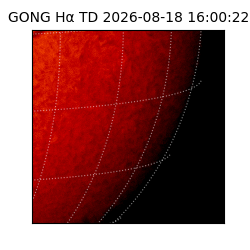 gong - 2026-08-18T16:00:22
