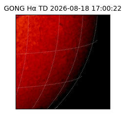gong - 2026-08-18T17:00:22