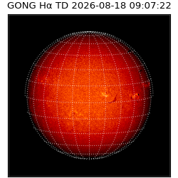 gong - 2026-08-18T09:07:22