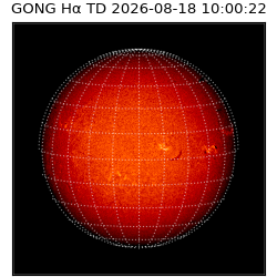 gong - 2026-08-18T10:00:22