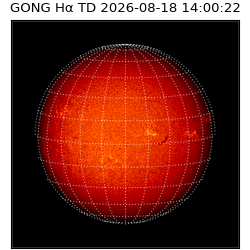 gong - 2026-08-18T14:00:22