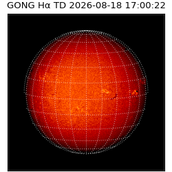 gong - 2026-08-18T17:00:22
