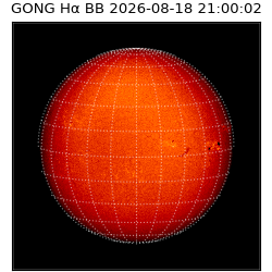 gong - 2026-08-18T21:00:02