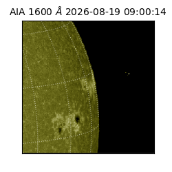 saia - 2026-08-19T09:00:14.132000