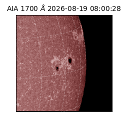 saia - 2026-08-19T08:00:28.717000