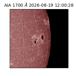 saia - 2026-08-19T12:00:28.725000