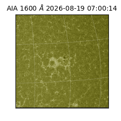 saia - 2026-08-19T07:00:14.129000