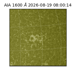 saia - 2026-08-19T08:00:14.132000