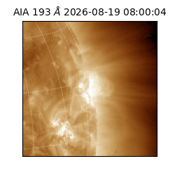 saia - 2026-08-19T08:00:04.845000