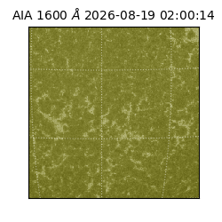saia - 2026-08-19T02:00:14.123000