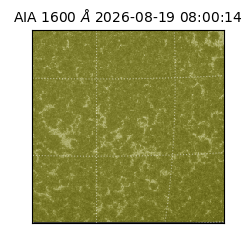 saia - 2026-08-19T08:00:14.132000
