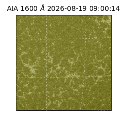 saia - 2026-08-19T09:00:14.132000