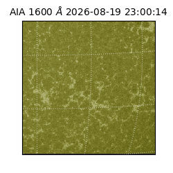 saia - 2026-08-19T23:00:14.129000