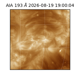 saia - 2026-08-19T19:00:04.842000