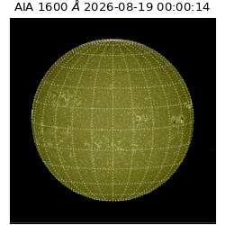 saia - 2026-08-19T00:00:14.123000