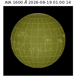 saia - 2026-08-19T01:00:14.123000