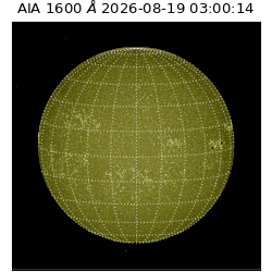 saia - 2026-08-19T03:00:14.123000