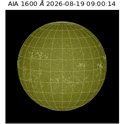 saia - 2026-08-19T09:00:14.132000