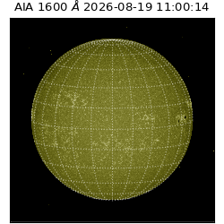 saia - 2026-08-19T11:00:14.121000
