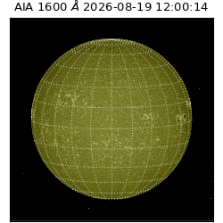 saia - 2026-08-19T12:00:14.123000