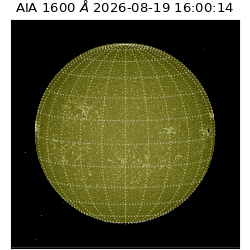 saia - 2026-08-19T16:00:14.130000