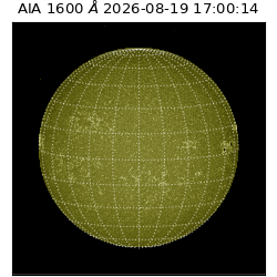 saia - 2026-08-19T17:00:14.131000