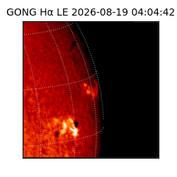 gong - 2026-08-19T04:04:42