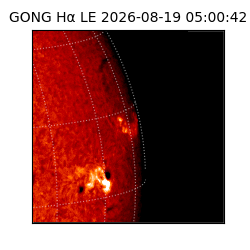 gong - 2026-08-19T05:00:42