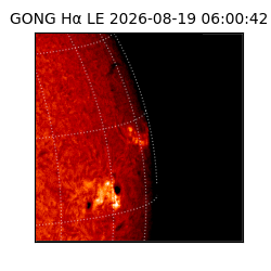 gong - 2026-08-19T06:00:42