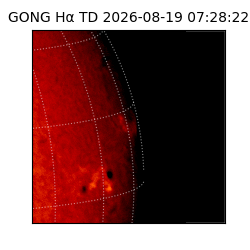 gong - 2026-08-19T07:28:22