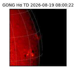 gong - 2026-08-19T08:00:22