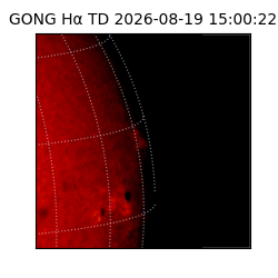 gong - 2026-08-19T15:00:22