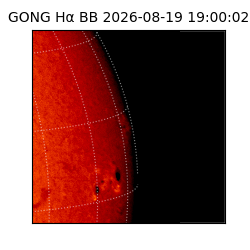 gong - 2026-08-19T19:00:02
