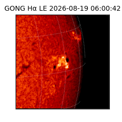 gong - 2026-08-19T06:00:42