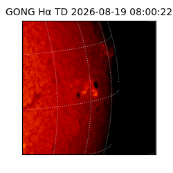 gong - 2026-08-19T08:00:22