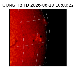 gong - 2026-08-19T10:00:22
