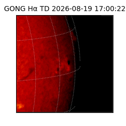 gong - 2026-08-19T17:00:22