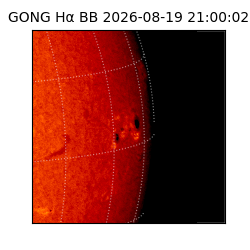 gong - 2026-08-19T21:00:02
