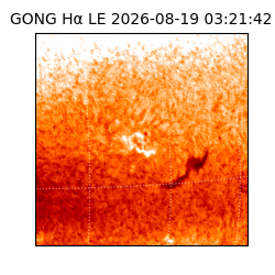 gong - 2026-08-19T03:21:42