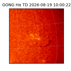 gong - 2026-08-19T10:00:22