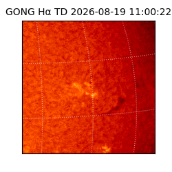 gong - 2026-08-19T11:00:22