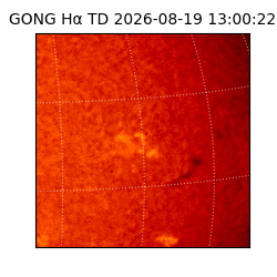 gong - 2026-08-19T13:00:22
