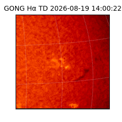 gong - 2026-08-19T14:00:22