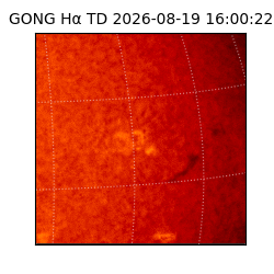 gong - 2026-08-19T16:00:22