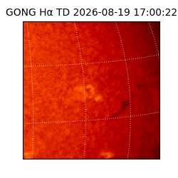 gong - 2026-08-19T17:00:22