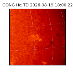 gong - 2026-08-19T18:00:22