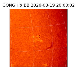 gong - 2026-08-19T20:00:02