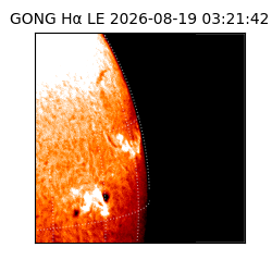 gong - 2026-08-19T03:21:42