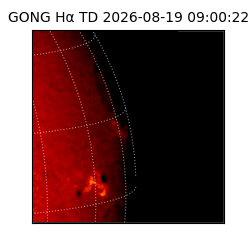 gong - 2026-08-19T09:00:22